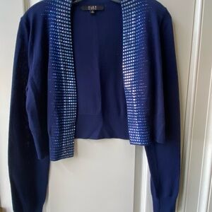 Alex Evenings Women's Blue Sweater
